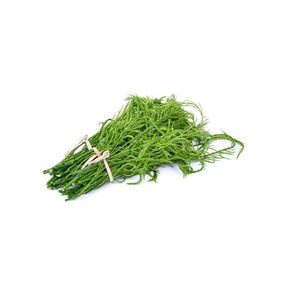 Fresh cha-om leaves on a white background