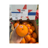 Australian Oranges Star Brand Size 56 (9kg Box)