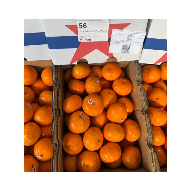 Australian Oranges Star Brand Size 56 (9kg Box)