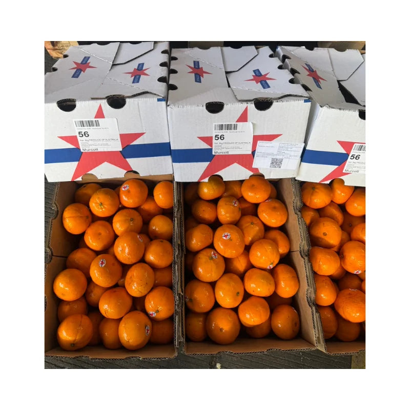 Australian Oranges Star Brand Size 56 (9kg Box)