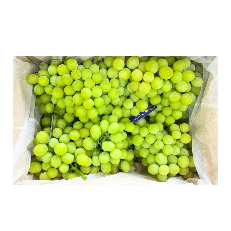Autumn Crisp Green Grapes 6–7 kg/basket