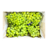 Autumn Crisp Green Grapes 6–7 kg/basket