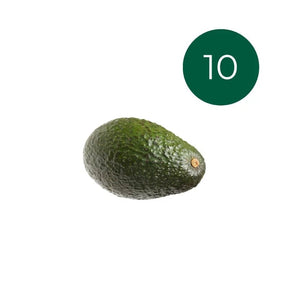 Fresh Hass avocados, creamy green avocados, 10 pieces isolated on white background