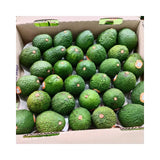 Avocado Hass New Zealand Darling Avocado 30 Pieces