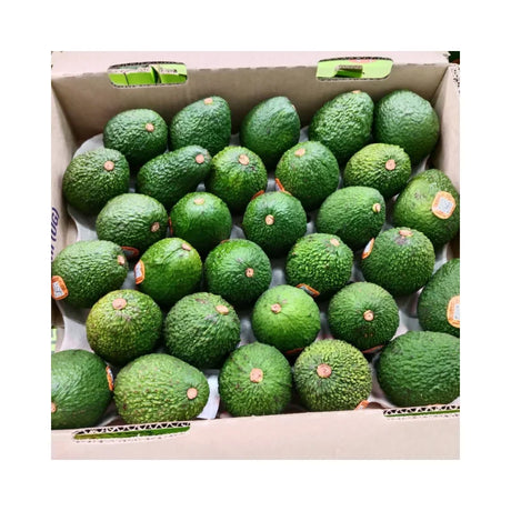 อโวคาโด้ Hass New Zealand ตรา Darling Avocado 30 ลูก