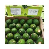 Box of avocados with a visible brand label on a white background