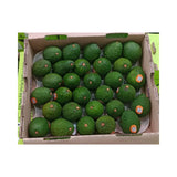 Avocado Hass New Zealand Darling Avocado 30 Pieces