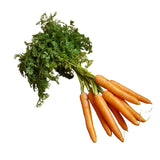 Baby Carrot 180g Organic