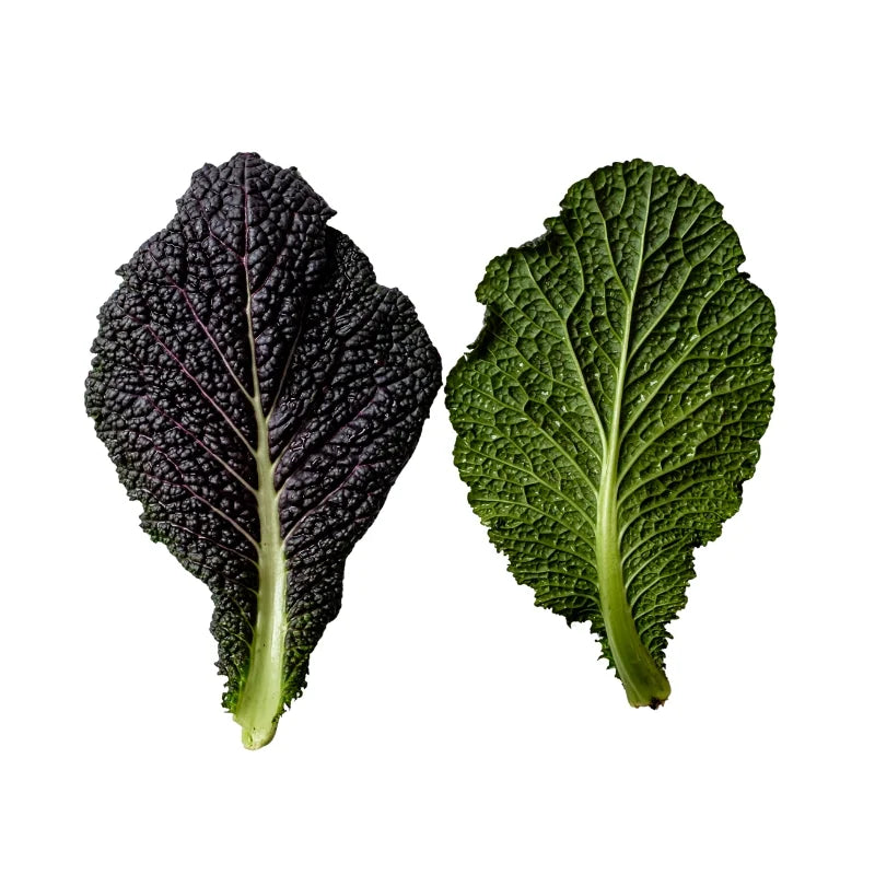 Baby Red Mustard Leaf Per kg