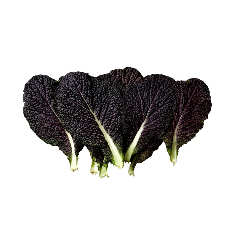 Baby Red Mustard Leaf Per kg