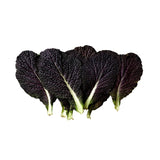 Baby Red Mustard Leaf Per kg