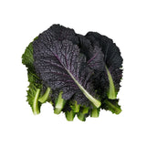 Baby Red Mustard Leaf Per kg