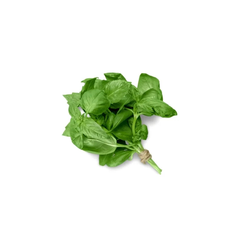 Basil Per kg
