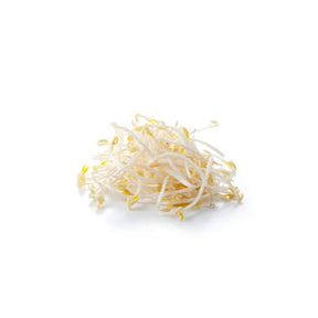 Fresh bean sprouts, crisp white shoots, 250g pack isolated on white background