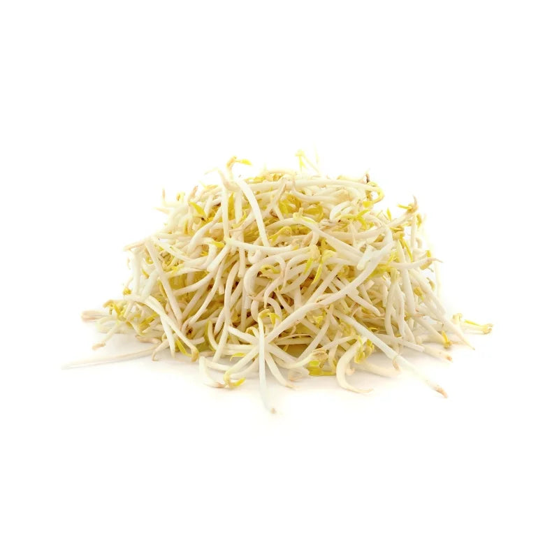 Bean Sprouts 500g