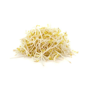 Fresh bean sprouts on a white background
