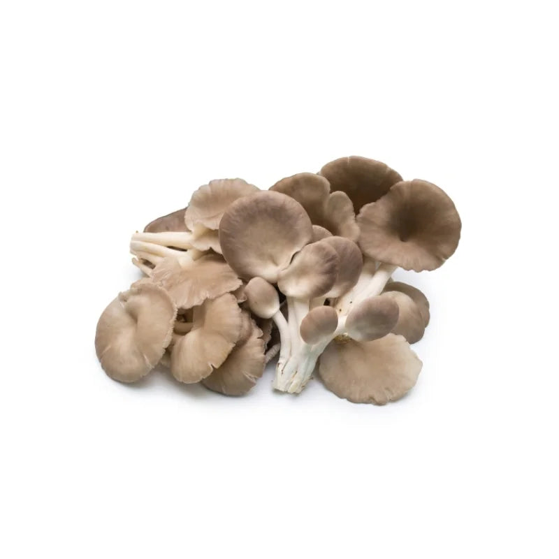 Bhutanese Mushroom Per kg