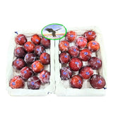 Black Plums Per Basket