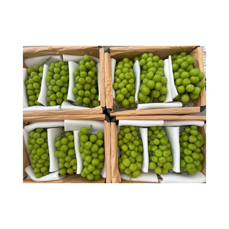 Black Basket Shine Muscat Grapes 6 Bunches (Total Weight Including Basket 8.8kg)