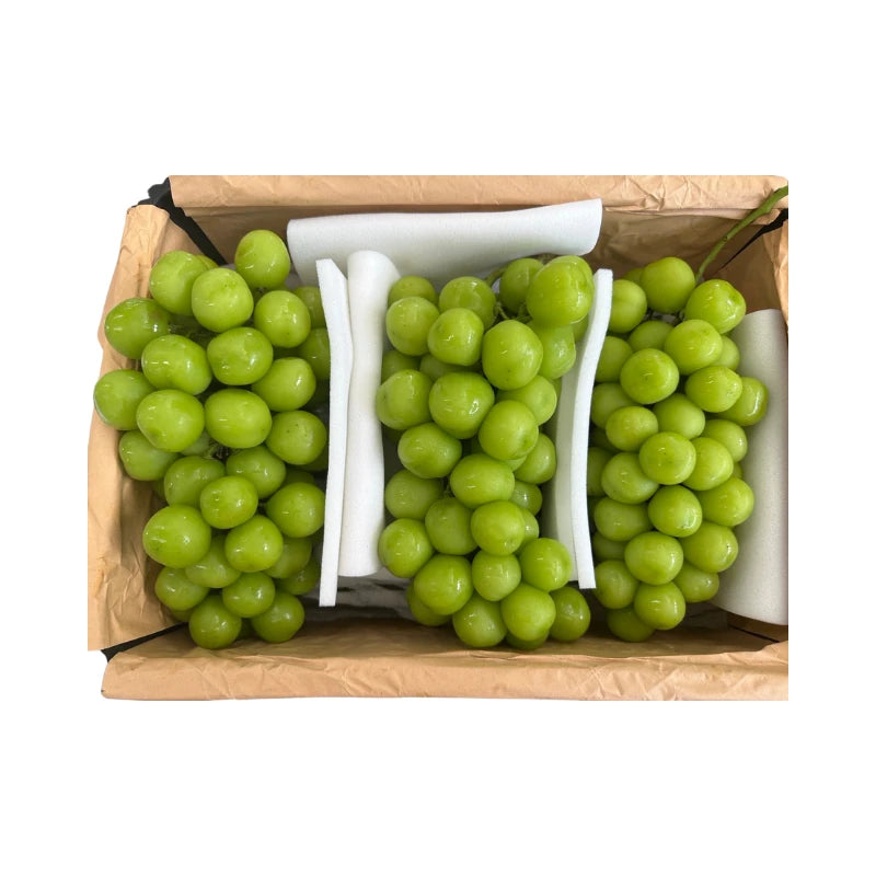 Black Basket Shine Muscat Grapes 6 Bunches (Total Weight Including Basket 8.8kg)