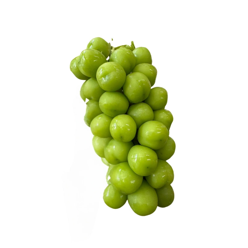 Black Basket Shine Muscat Grapes 6 Bunches (Total Weight Including Basket 8.8kg)