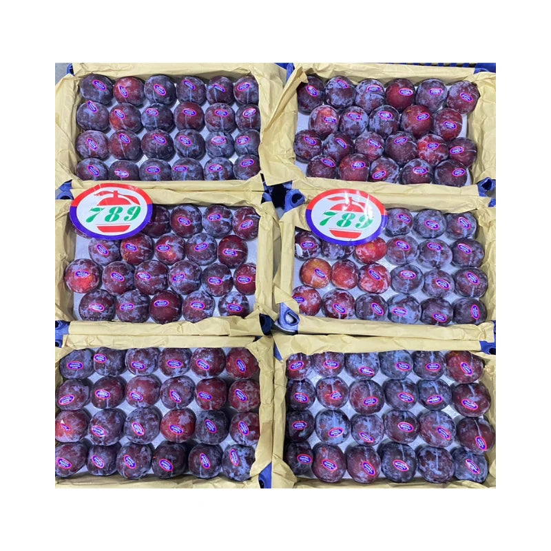 Black Plum 789 Brand (Net Weight 6.2kg/Basket)