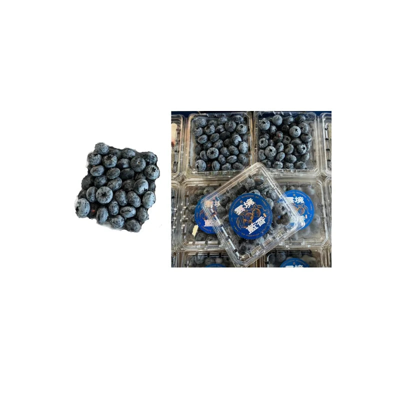 บลูเบอร์รี่ เบอร์18+ 12แพ็ค/ถาด