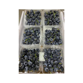 Fresh blueberries, plump ripe berries, 12 x 125g packs per box isolated on white background