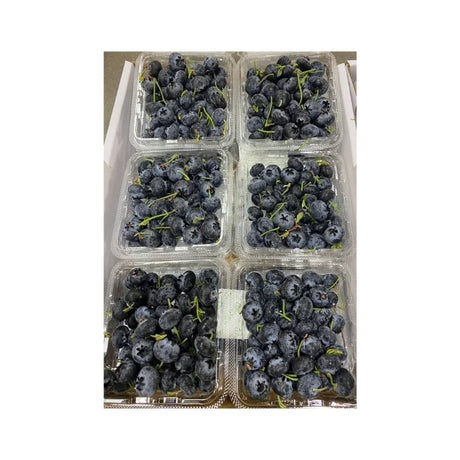 Blueberry (12 x 125g) - Bangkok FreshLink