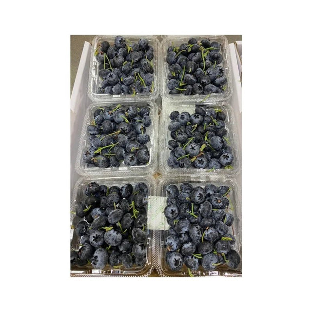 Blueberry (12 x 125g) - Bangkok FreshLink