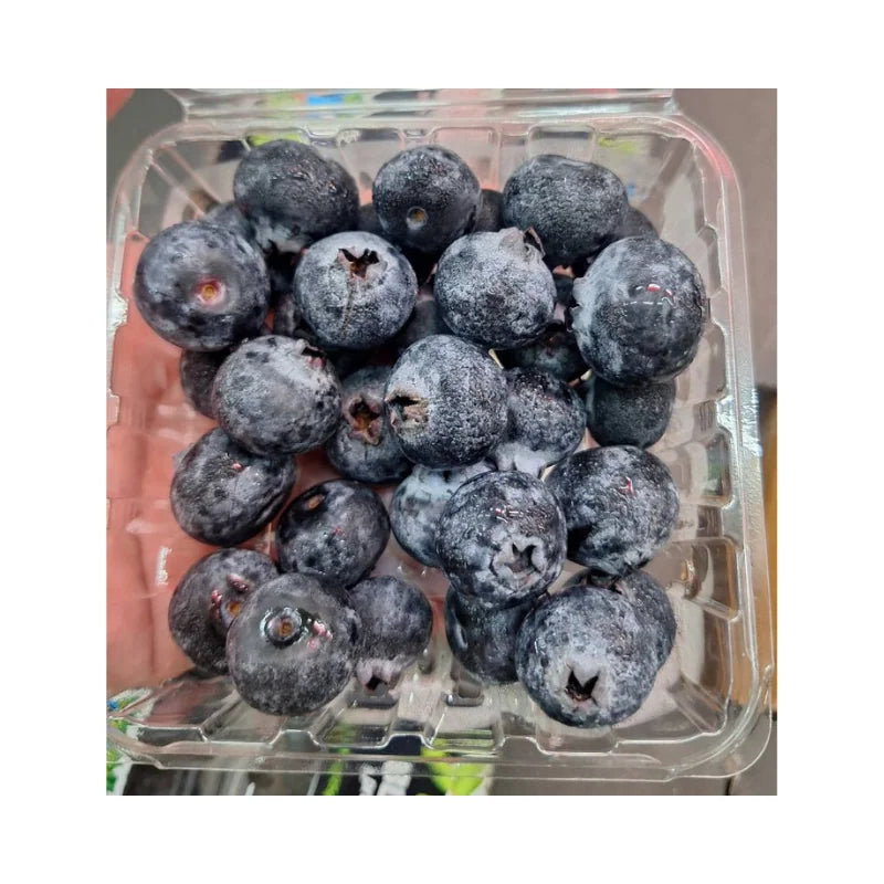 Blueberry Peru La Chilca (125g x 12 Packs)