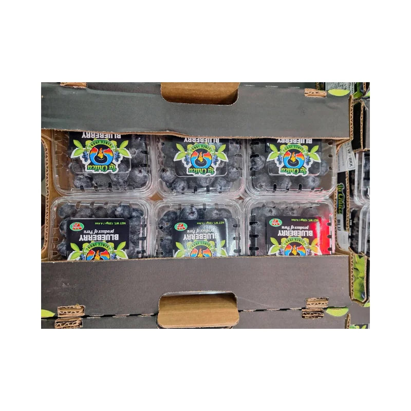 Blueberry Peru La Chilca (125g x 12 Packs)