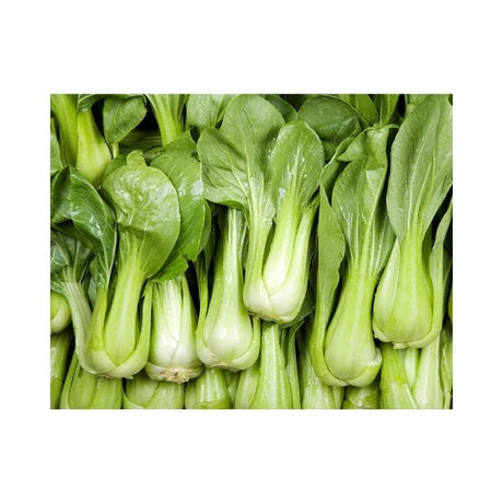 Bok Choy Per kg (Imported) - Bangkok FreshLink