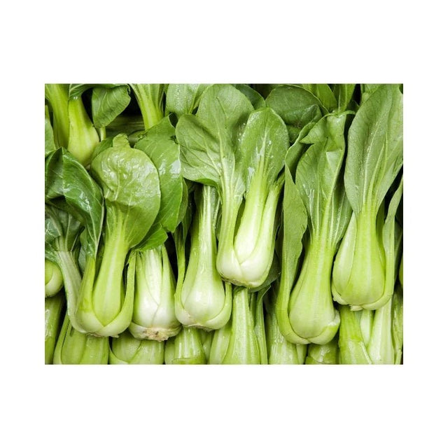 Bok Choy Per kg (Imported) - Bangkok FreshLink