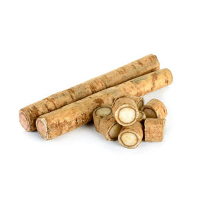 Fresh burdock root on a white background