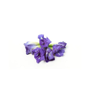 Butterfly pea flowers on a white background
