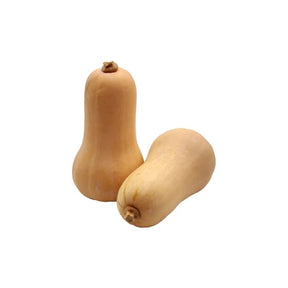 Fresh butternut squash, sweet orange squash, 2kg pack isolated on white background