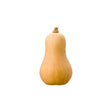 Butternut Squash Per kg - Bangkok FreshLink