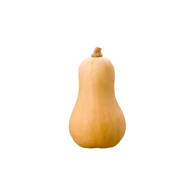 Butternut Squash Per kg - Bangkok FreshLink