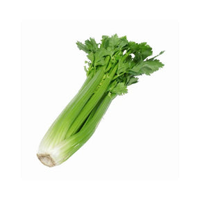 Fresh celery stalks, crunchy green stems, 500g pack isolated on white background