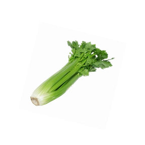 Fresh celery stalks, crunchy green stems sold per kg isolated on white background