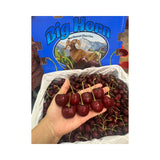 Cherry Skeena Variety Big Horn Size 9