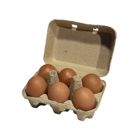 Chicken eggs size 0 pack of 6 on a white background