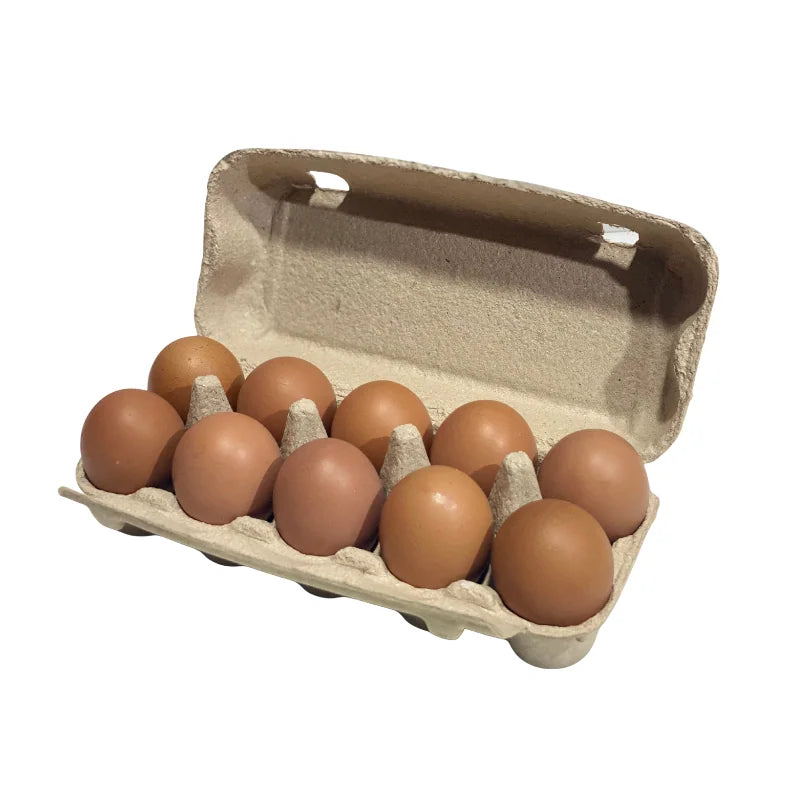 Chicken Eggs Size 1 (10 Eggs/Pack)