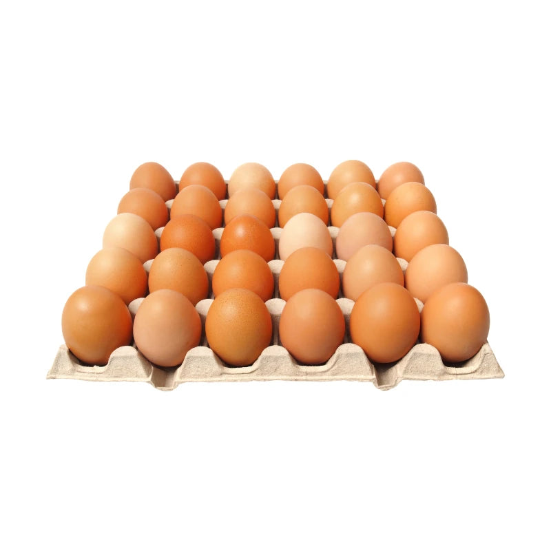 Chicken Eggs Size 3 30 Eggs Per Tray