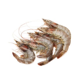 Chilled white shrimp on a white background