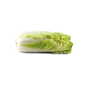 Fresh Chinese cabbage, pale green napa cabbage, 5kg bulk pack isolated on white background