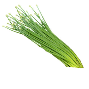 Fresh onion flowers on a white background