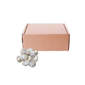 Chinese garlic whole bulbs, fresh intact garlic heads, 10kg bulk pack isolated on white background