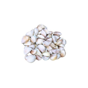 Chinese garlic whole cloves large size, fresh separated cloves, 500g pack isolated on white background